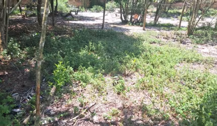 Terreno para Venda em Itanhaém, SANTA CRUZ