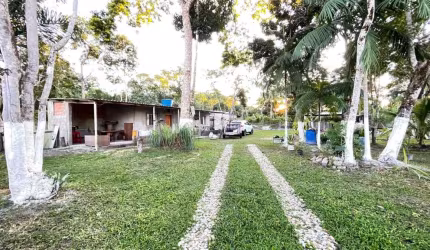 Chácara para Venda em Itanhaém, Parque Real, 1 dormitório, 1 suíte, 1 banheiro, 10 vagas
