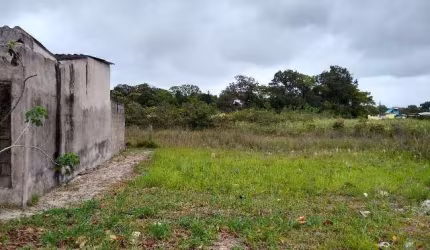Terreno para Venda em Itanhaém, Regina
