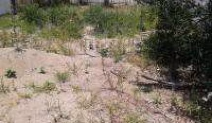 Terreno para Venda em Itanhaém, Jardim Coronel