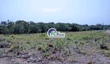 Terreno para Venda em Itanhaém, Tupy