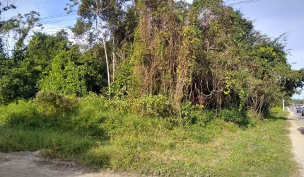 Terreno para Venda em Itanhaém, Jardim Coronel