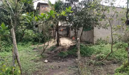 Terreno para Venda em Itanhaém, Jardim Coronel