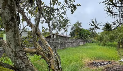 Terreno para Venda em Itanhaém, Chácaras Glória