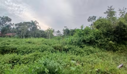 Terreno para Venda em Itanhaém, Chácaras Glória