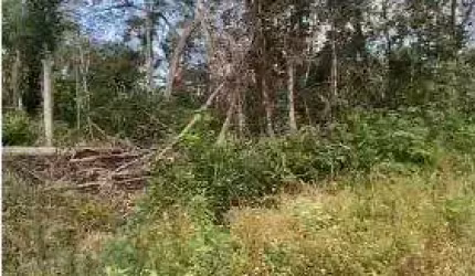 Terreno para Venda em Itanhaém, Parque Evelyn