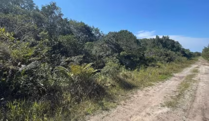 Terreno para Venda em Itanhaém, Regina