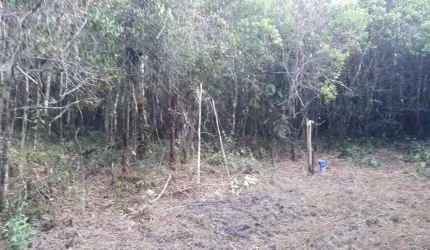 Terreno para Venda em Itanhaém, Bopiranga