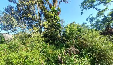 Terreno para Venda em Itanhaém, Jardim Coronel
