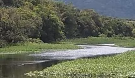 Terreno para Venda em Itanhaém, Parque Vergara