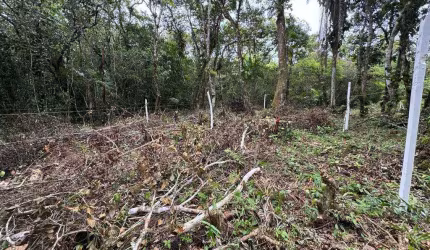 Terreno para Venda em Itanhaém, Marambá