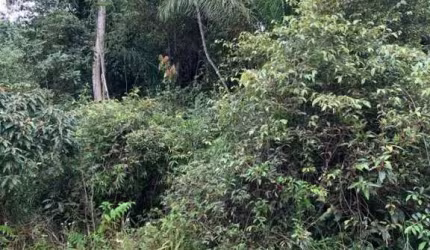Terreno para Venda em Iguape, Santa Barbara
