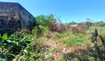 Terreno para Venda em Itanhaém, Chácara Cibratel