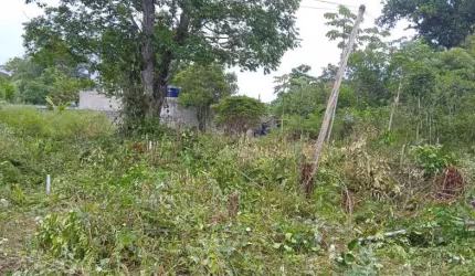 Terreno para Venda em Itanhaém, Jardim Coronel