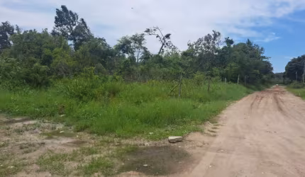 Terreno para Venda em Itanhaém, Parque Evelyn
