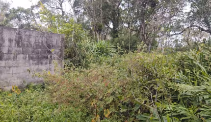 Terreno para Venda em Itanhaém, Luiza Mar Mirim