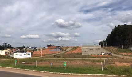 Terreno à venda na Reynaldo Horlle, 2, Porto Dos Pereiras, Montenegro, 360 m2 por R$ 150.000