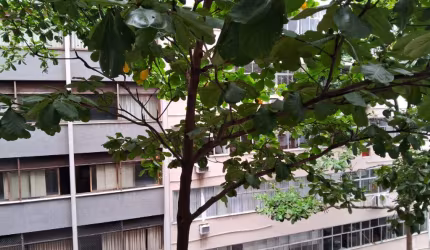 COLADINHO METRO RUA FECHADO COM GUARITA.