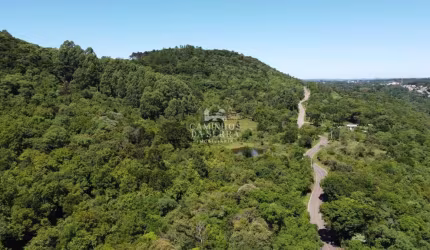 ÁREA DE TERRA EM NOVA PETRÓPOLIS/RS, Fazenda Pirajá, Nova Petropolis - RS