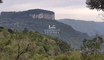 ÁREA DE TERRA EM NOVA PETRÓPOLIS, Linha Gonçalves Dias, Nova Petropolis - RS