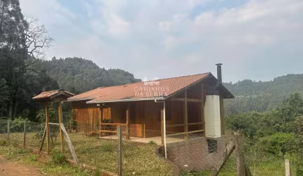 CHÁCARA 3 HECTARES PINHAL ALTO, Linha Pinhal Alto, Nova Petropolis - RS