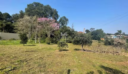 TERRENO GRANDE NO JURITI, Jurití, Nova Petropolis - RS