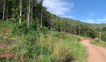 ÁREA À VENDA NA LINHA OLINDA EM NOVA PETRÓPOLIS, Linha Olinda, Nova Petropolis - RS