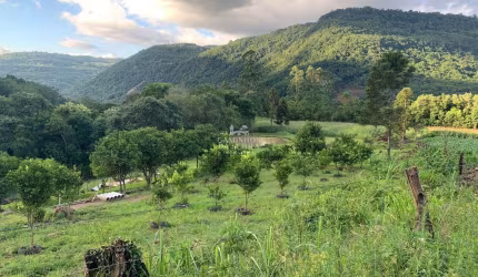 ÁREA DE TERRA COM VISTA AO MORRO MALAKOFF, LINHA RIACHUELO, Nova Petropolis - RS