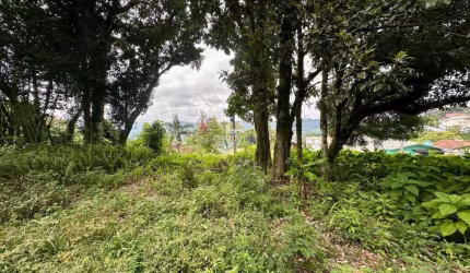TERRENO À VENDA EM NOVA PETRÓPOLIS, Vila Olinda, Nova Petropolis - RS
