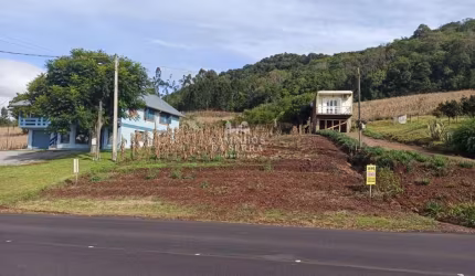 TERRENO À VENDA NA MARGEM DA VRS 235 , Linha Brasil, Nova Petropolis - RS