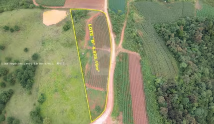 Área Rural para Venda em Campo Magro, Capivara dos Freitas