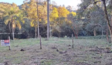Área Rural para Venda em Campo Largo, Bateias