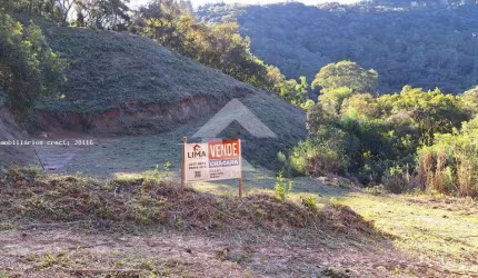 Área Rural para Venda em Campo Largo, Bateias