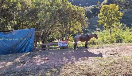 Área Rural para Venda em Campo Largo, Bateias