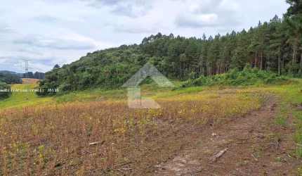Área Rural para Venda em Campo Magro, Centro