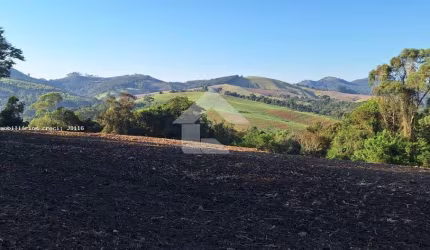 Área Rural para Venda em Campo Magro, Zona Rural