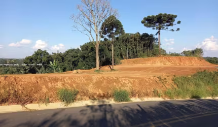Área para Venda em Campo Magro, Quarteirão São João