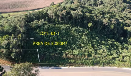 Área para Venda em Campo Magro, Quarteirão São João