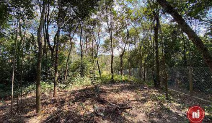Chácara à venda, 8000 m² por R$ 1.100.000,00 - Soares - Brumadinho/MG