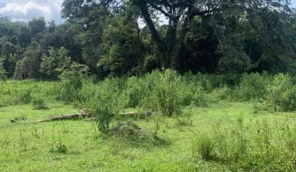 Terreno à venda, 1000 m² por R$ 80.000,00 - Colégio  - Brumadinho/MG