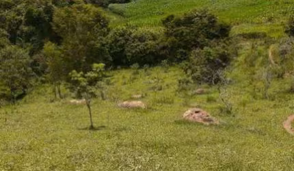 Área à venda, 61,5 hectares por R$ 2.450.000