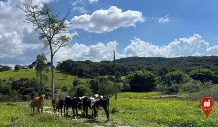 Área à venda, 60000 m² por R$ 500.000,00 - Guedes - Bonfim/MG