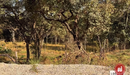 Terreno à venda, 360 m² por R$ 144.000,00 - Ficus  - Brumadinho/MG
