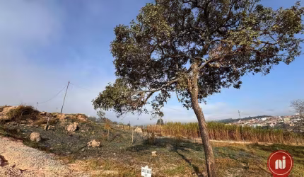 Terreno à venda, 469 m² por R$ 178.000,00 - Ficus  - Brumadinho/MG