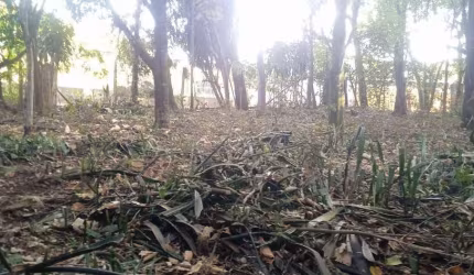Terreno à venda, 360 m² por R$ 45.000,00 - Recreio Do Lago - São Joaquim de Bicas/MG