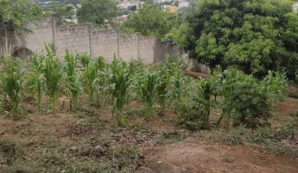 Terreno à venda, 500 m² por R$ 115.000,00 - São Geraldo - Florestal/MG