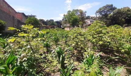 Terreno à venda, 672 m² por R$ 590.000,00 - Jardim Das Alterosas - 2ª Seção - Betim/MG