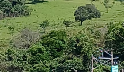 Oportunidade de ótimo negocio