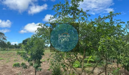 Sítio em Ibiruçu: 3hectare, casa com 3 Dormitórios - por R$ 600.000,00