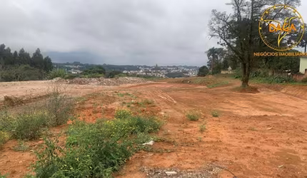 Área Galpão para Venda em Colombo, Roça Grande